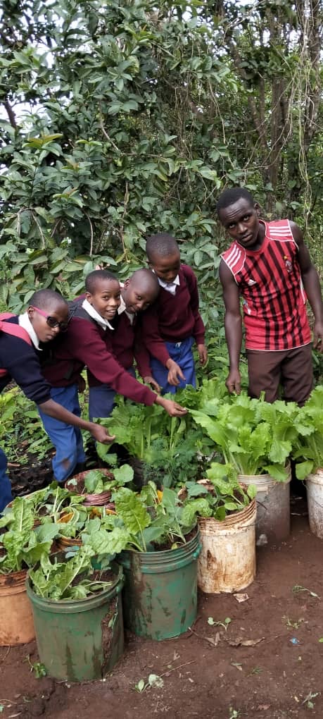 Children in the school garden